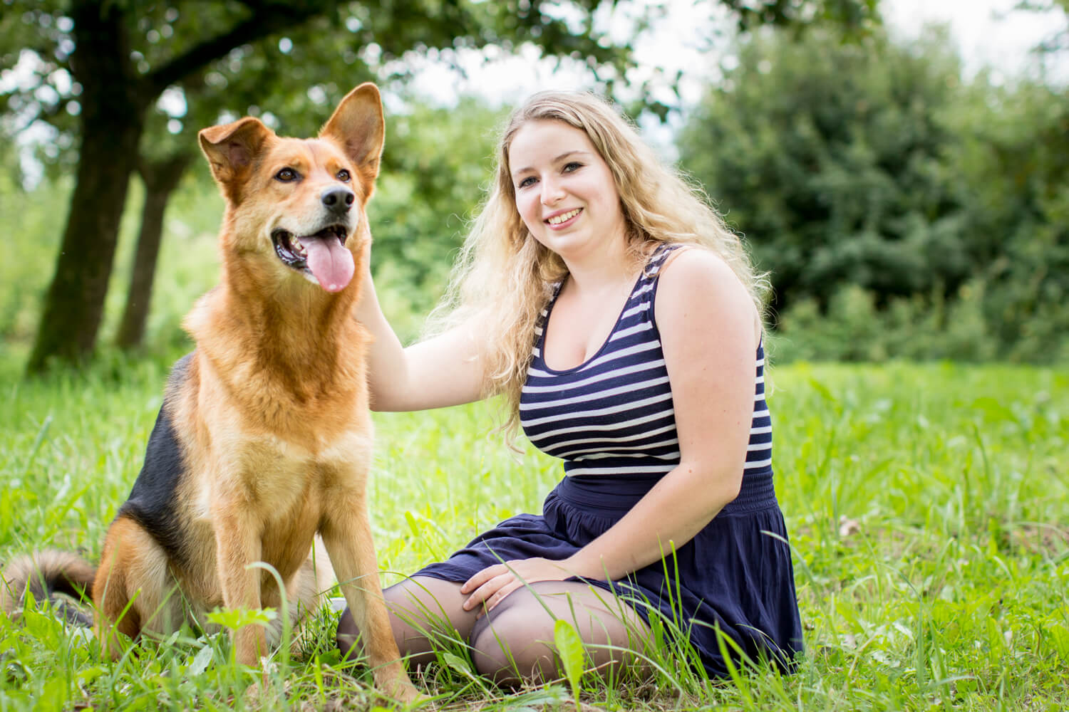 Fotoshoot met herderhond fotolocatie Linschoten_5432 Hondenportret van een herdershond fotolocatie Linschoten