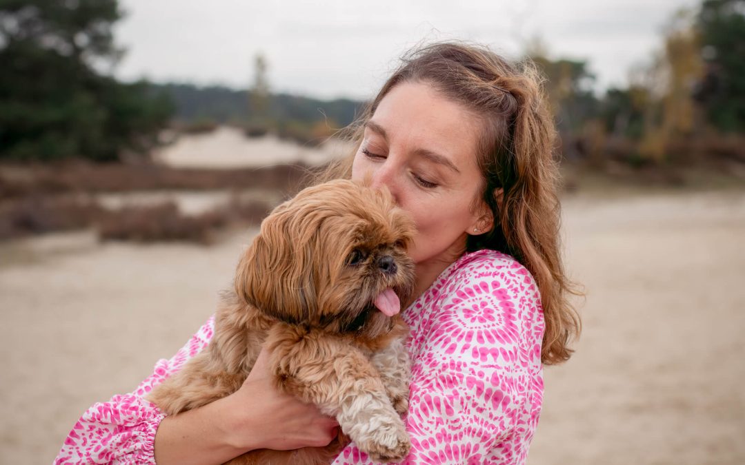 hondenfotografie fotoshoot Shih Tzu bos hei zandverstuiving fotolocatie soesterduinen